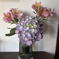 アサガオ,アジサイ,アジサイ,アスター,アマリリスの画像