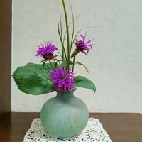 カレックス,ギボウシ,モナルダ,モナルダ(ベルガモット),タイマツバナの画像