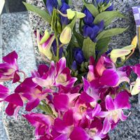 バラ,リンドウ,薔薇,デンファレ,ピンク色の薔薇の画像