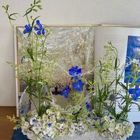 デルフィニウム,シマネトリコ,エリンジウム,シクラメン フェアリーピコ,いつもありがとう♡の画像
