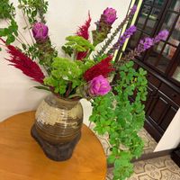 クルクマ,けいとう,いけばな,投げ入れ,お花屋さんの画像