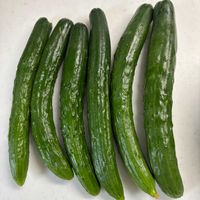 キュウリ,枝豆,家庭菜園の画像