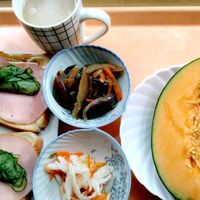 メロン,新緑の季節,番外編,山の遅い春,山の朝ご飯の画像