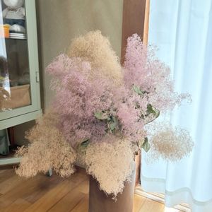 スモークツリー,ローズマリー,ドライフラワー,サビサビ,癒しの画像