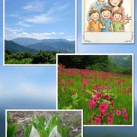 クリンソウ,ミズバショウ,過去pic,今日のお花,いつも笑顔で〜〜♡の画像