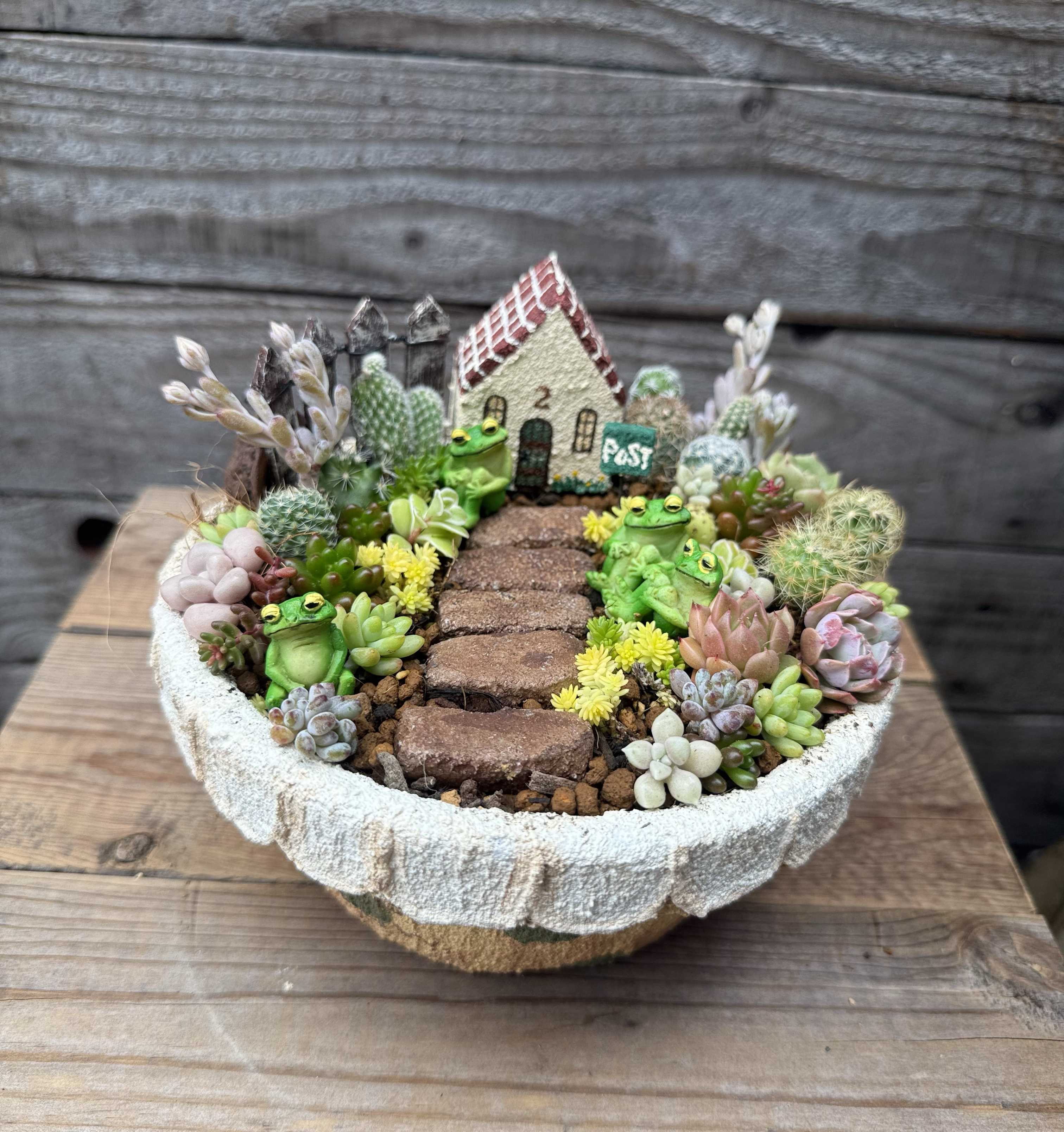 サボテン 寄せ植え 観葉植物 ガーデニング サボテンの寄せ植え｜🍀GreenSnap（グリーンスナップ）