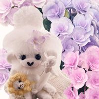 かぼちゃ,紫陽花 アジサイ あじさい,ソクモン祭り,サニコさんのテンモンちゃん,ソクギャルちゃんの画像