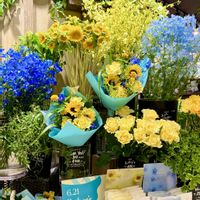 星美人, ブロンズ姫,多肉植物,父の日,お花屋さんの画像