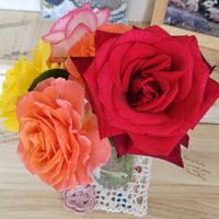 バラ ビブレバカンス！,薔薇 ニコール,薔薇 ディープシークレット,バラ　サンスプライト,バラを楽しむの画像