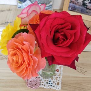 バラ ビブレバカンス！,薔薇 ニコール,薔薇 ディープシークレット,バラ　サンスプライト,バラを楽しむの画像