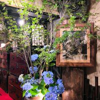 ドウダンツツジ,紫陽花,切り花,生け花,季節の花の画像
