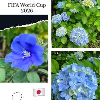 ガーデニング,花が好き,私の癒し♡,花と緑のある暮らし,おうち園芸の画像