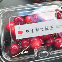 サクランボ,さくらんぼ,チェリーの画像