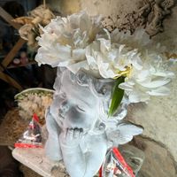 シャクヤク,白樺,輪ッしょい!プロジェクト,里山はらっぱ市,ごほうびhealingの画像