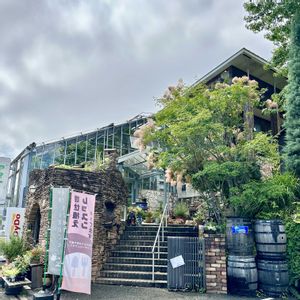 ヒロスタキス ブルーエルフ,成長記録 ヒロスタキス ブルーエルフ,神奈川タニラー,多肉男子,バルコニー/ベランダの画像