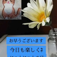 ガザニア,ガザニアの画像