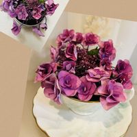 デンドロビウム,ブラックベリー,紫陽花,すもも,いつも心に太陽をの画像