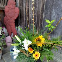 ガーベラ,ネコヤナギ,ヒマワリ,ユリ,伊根の舟屋の画像