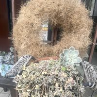 多肉植物,リース,ハンドメイド,元気もらえる,お花のある暮らしの画像