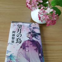 エキナセア,ピンクのアナベル,ピンクのアナベル,コマツナギ,駒繋（コマツナギ）の画像