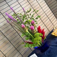 けいとう,いけばな,投げ入れ,お花屋さん,熊本の画像