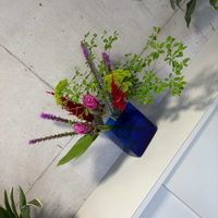 クルクマ,けいとう,グリーン,いけばな,投げ入れの画像