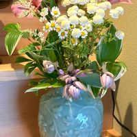アルストロメリア,マトリカリア,ギボウシ（ホスタ）の花,斑入り ナルコユリ,アスチベルの画像