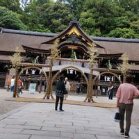 ハギ,紫陽花,半夏生の画像