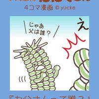 白樺キリン,多肉植物,ユーフォルビアの画像