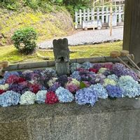 お花大好き♡,家庭菜園,玄関アプローチ,玄関内側,その他部屋の画像
