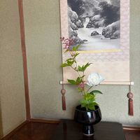 シャクヤク,シャクヤク,キョウカノコ,花のある暮らし,緑のある暮らしの画像