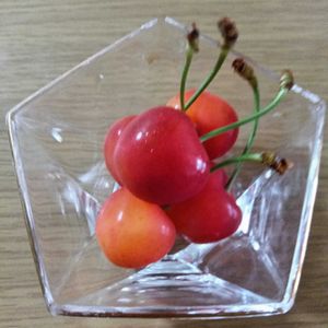 シマトネリコ,ガジュマル,胡蝶蘭,アボカド鉢植え,さくらんぼ紅秀峰の画像