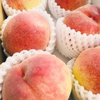 モモ,モモ,いつもありがとう♡,グリーン！グリーン！グリーン！,夏の果物の画像