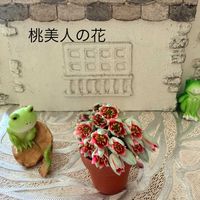 桃美人,桃美人,多肉植物,小さな花,たにくの画像