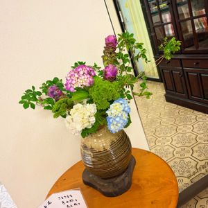 寄植え,投げ入れ,アジサイ　紫陽花,お花屋さん,熊本の画像