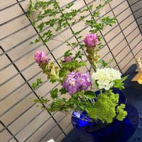投げ入れ,アジサイ　紫陽花,お花屋さん,熊本,生け込みの画像