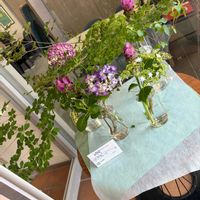 投げ入れ,アジサイ　紫陽花,お花屋さん,熊本,生け込みの画像