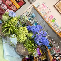 寄植え,投げ入れ,アジサイ　紫陽花,お花屋さん,熊本の画像