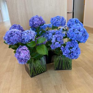 投げ入れ,アジサイ　紫陽花,お花屋さん,熊本,生け込みの画像