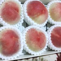 アガパンサス,コスモスの画像