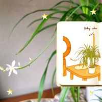 ブルースター,オリヅルラン,つぶやき,画像加工AIの画像