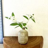 シモツケ ,可愛い,GS映え,わくわく,1分生花の画像
