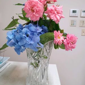 アジサイ,紫陽花,ミニバラ,ミニバラ,ミニ薔薇♡の画像