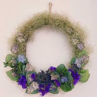 アジサイ,スターチス,スモークツリー,スモークツリー,スモークツリーの画像