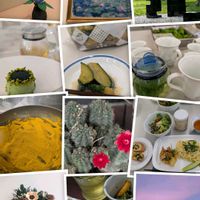 サボテン,ハーブ,思い出,風景,愛知県の画像