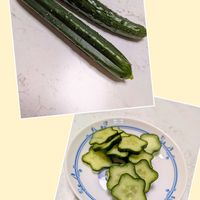 キュウリ,節成きゅうちゃんの画像
