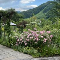 ナチュラルガーデン,ローズガーデン,イングリッシュガーデン,絶景,群馬県の画像