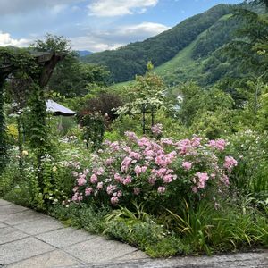 ナチュラルガーデン,ローズガーデン,イングリッシュガーデン,絶景,群馬県の画像