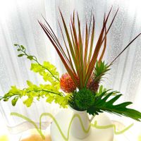 パイナップル,クッカバラ,ピンクッション,花パインの画像
