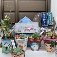 南十字星,キュンキュン乙女倶楽部,バラと夢CLUB,ペコちゃん祭り,さくら餅子さんのリメ缶の画像